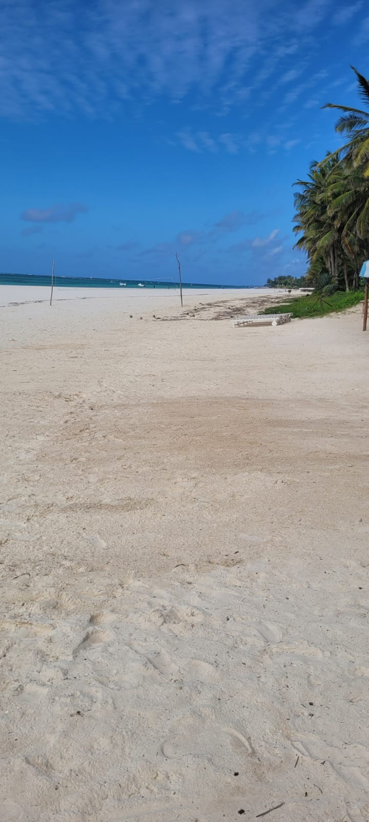 Wide stretch of Diani Beach sand with a kite flying beyond the palm trees