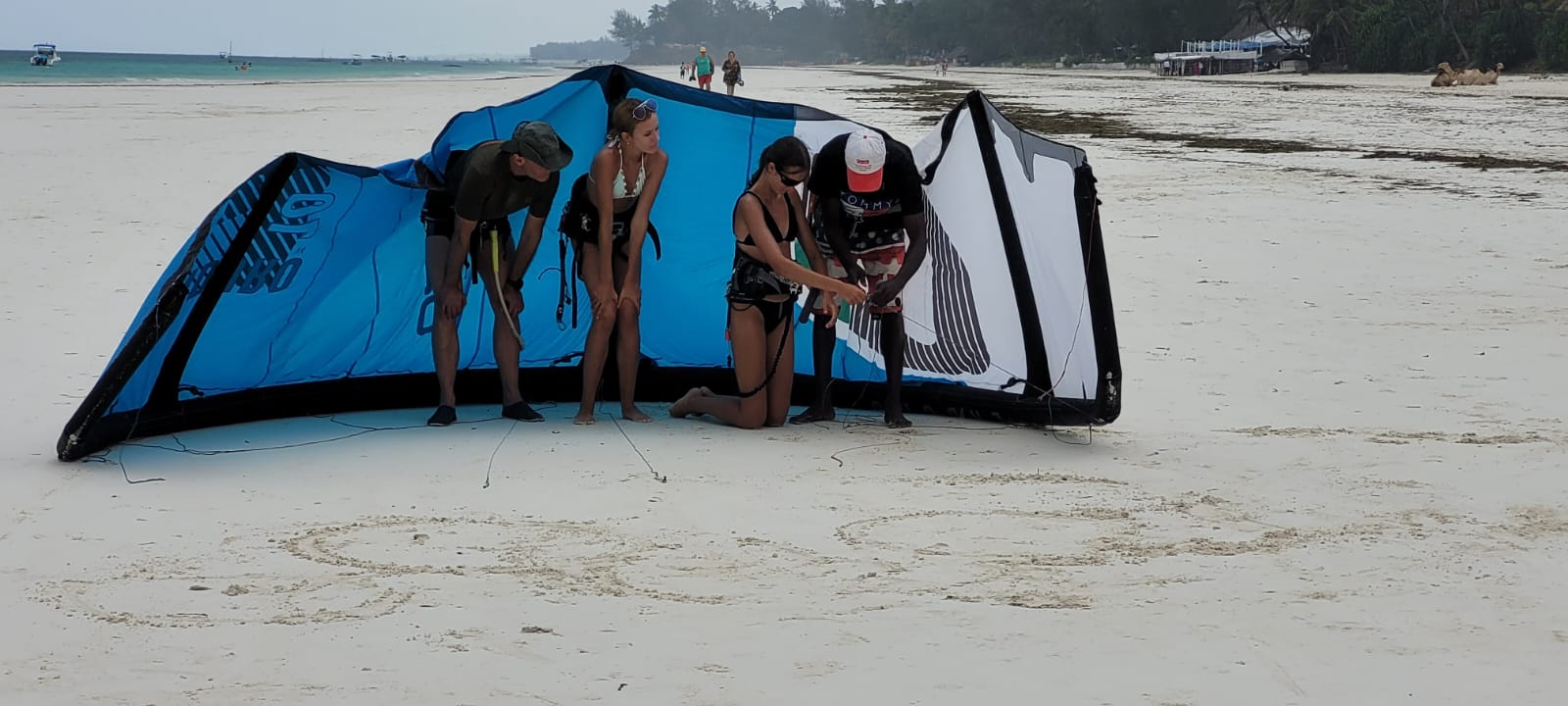 Students behind a blue kite spread out on the sand during a ground-handling lesson